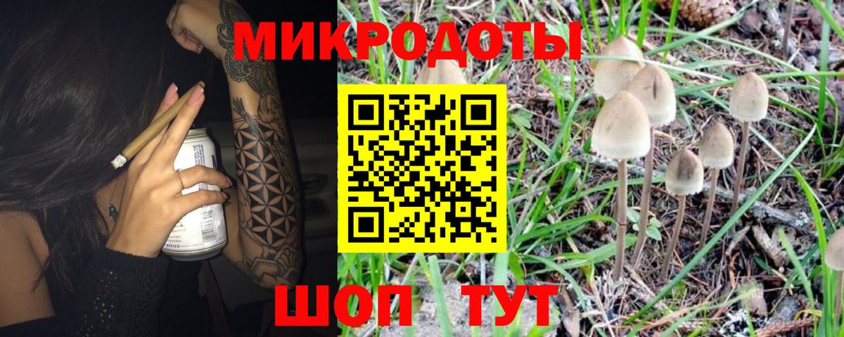 Белово  Псилоцибиновые грибы GOLDEN TEACHER  Вход с VPN 