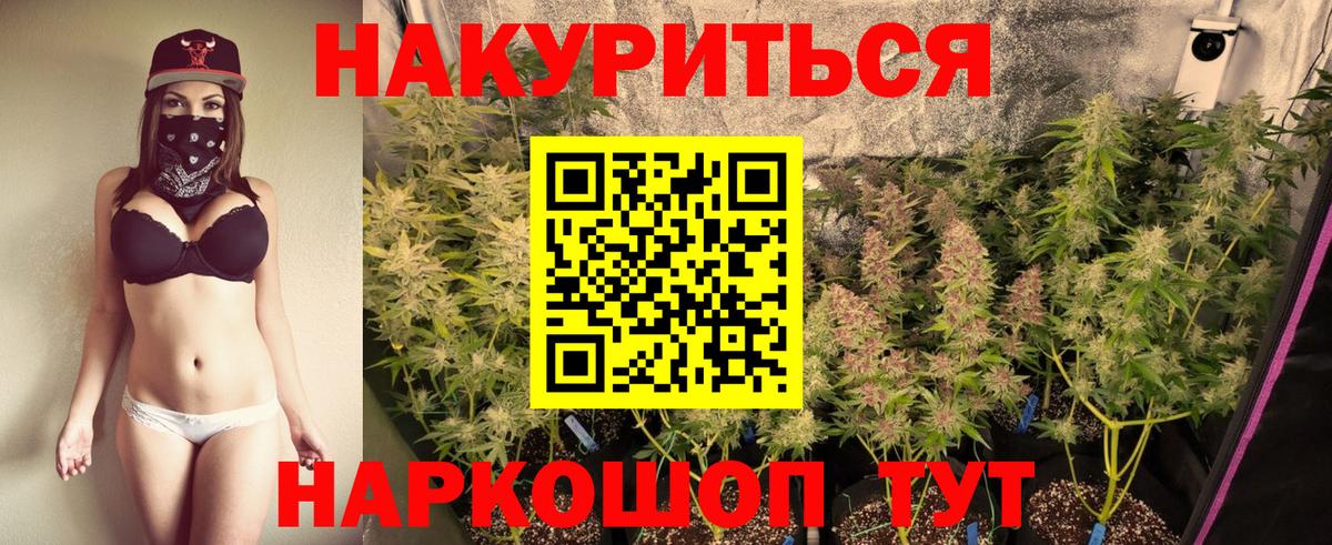 Конопля OG Kush Белово